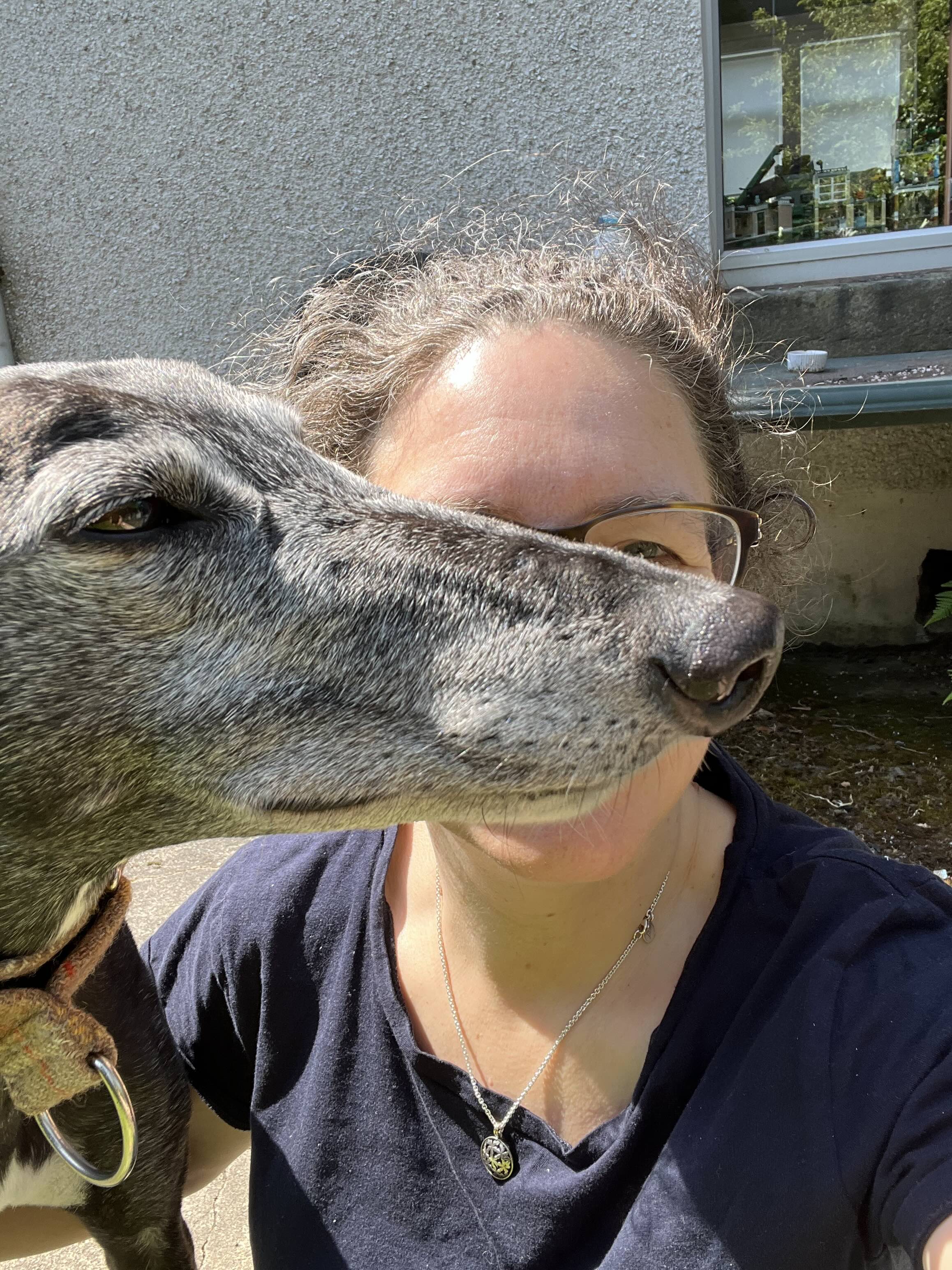 A portrait of a beautiful woman but a black greyhound has inserted his face perpendicular to hers, completely obscuring the shot with his large nose.